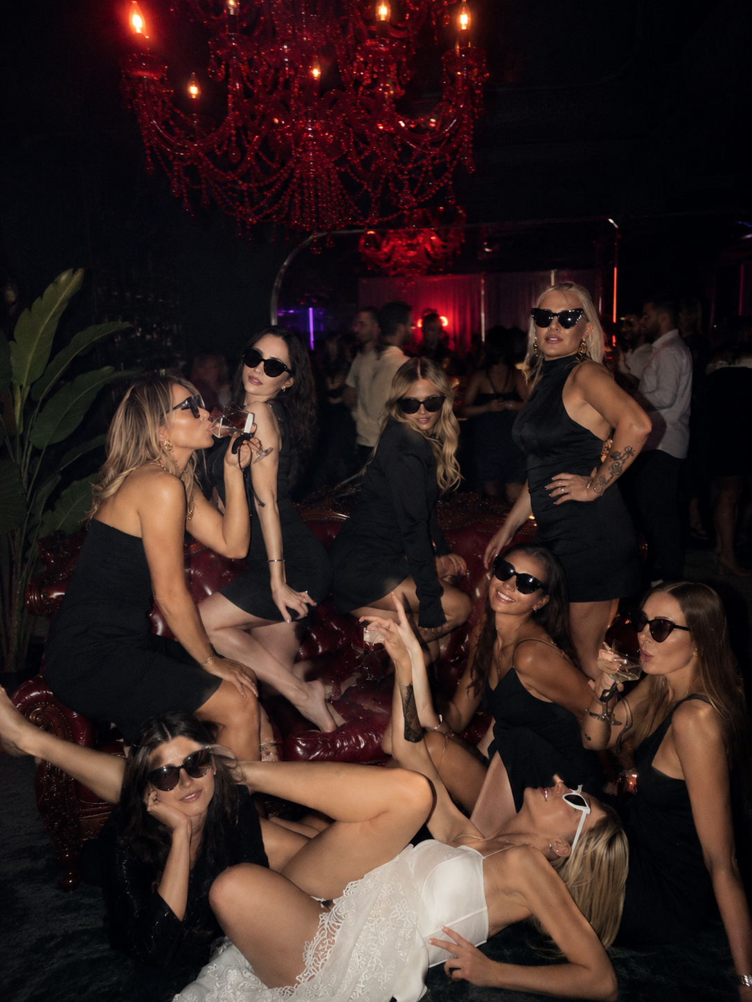 Deer Club Sakarya Adapazarı